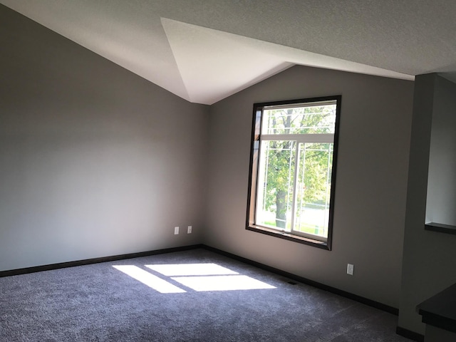 spare room featuring lofted ceiling, carpet flooring, a textured ceiling, and a healthy amount of sunlight