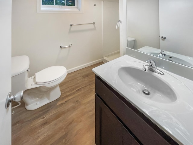 bathroom featuring toilet, vanity, and wood-type flooring