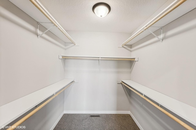 spacious closet featuring carpet floors