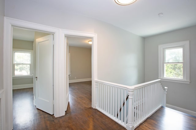 corridor with dark wood-type flooring and plenty of natural light