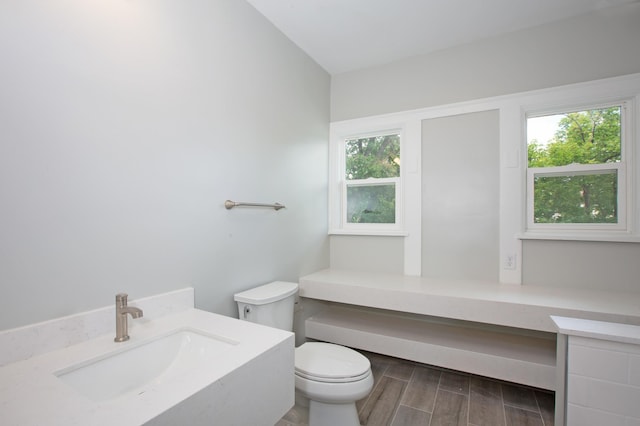 bathroom with vanity, wood-type flooring, a healthy amount of sunlight, and toilet