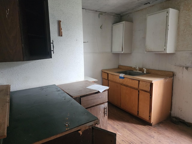 kitchen featuring light wood-type flooring and sink