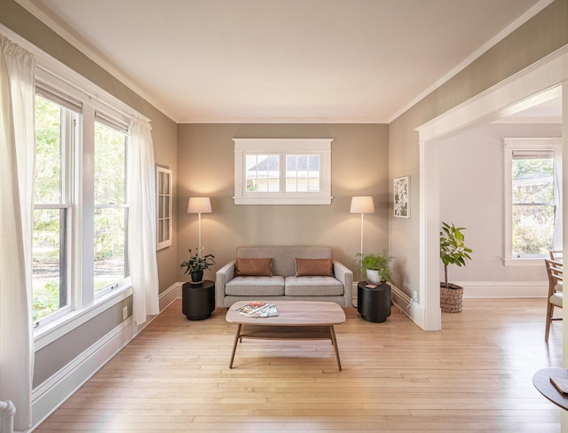 sitting room with a wealth of natural light and light wood-type flooring