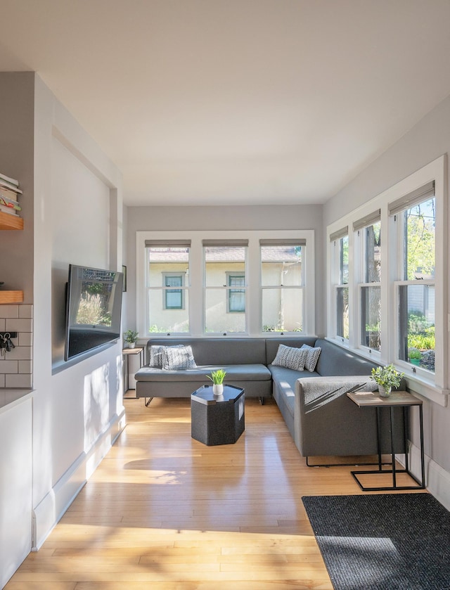 living room featuring light hardwood / wood-style floors