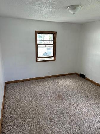 spare room with carpet floors and a textured ceiling