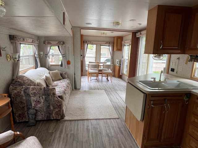 25683 Circle Dr, Garrison Twp, MN 56401 - living area featuring light wood-style floors and plenty of natural light
