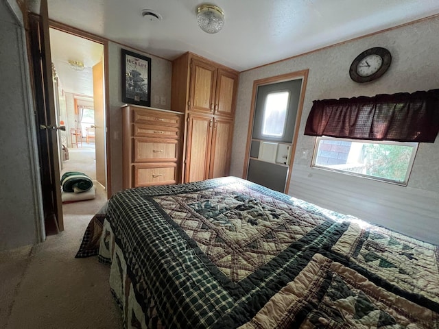 25683 Circle Dr, Garrison Twp, MN 56401 - bedroom with carpet floors