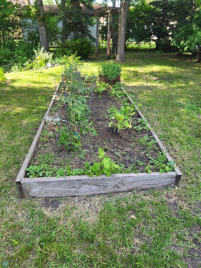 view of yard with a vegetable garden