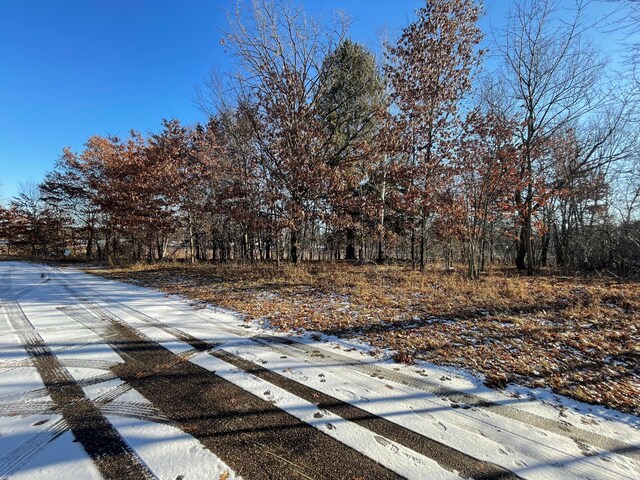 view of snowy yard