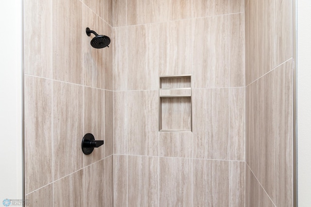 room details with tiled shower