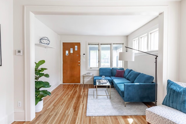 living room featuring light wood-type flooring