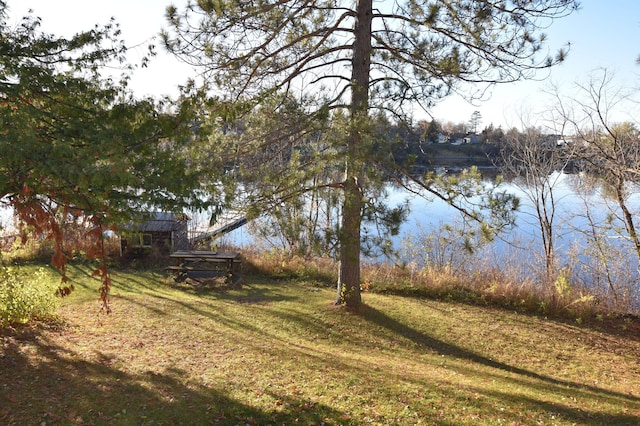 205 2nd Ave SE, Baudette, MN 56623 - view of grassy yard
