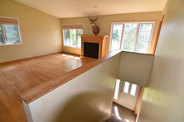 205 2nd Ave SE, Baudette, MN 56623 - unfurnished living room with wood finished floors and a fireplace