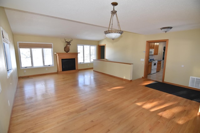 205 2nd Ave SE, Baudette, MN 56623 - unfurnished living room with light wood-style flooring and a fireplace