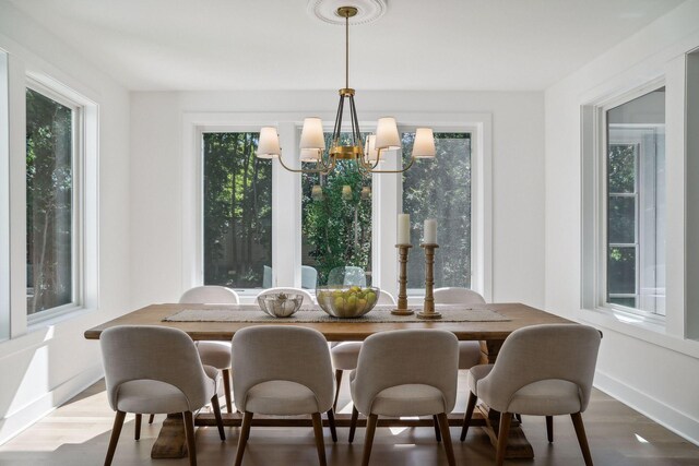 dining space featuring a wealth of natural light, a chandelier, and wood-type flooring