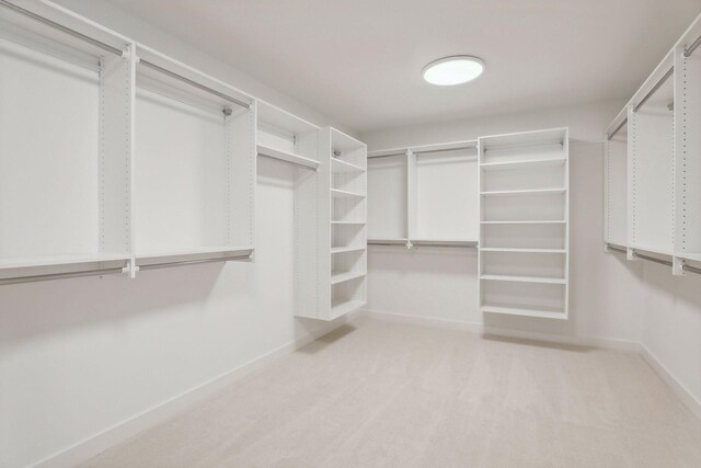 spacious closet featuring carpet flooring