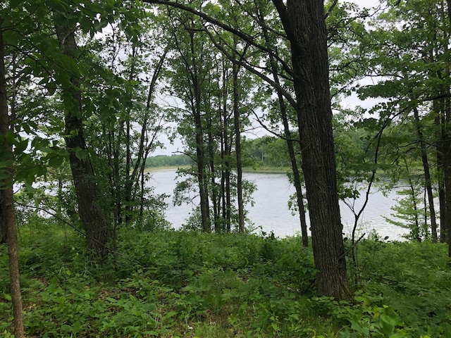 TBD Turtle Lake Dr NW, Walker MN, 56484 land for sale