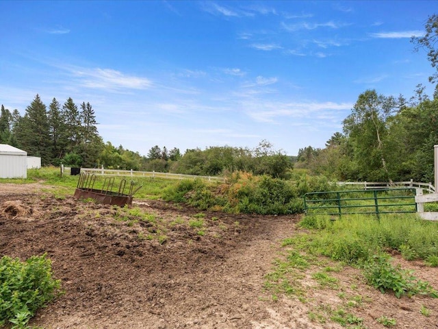 view of yard with a rural view