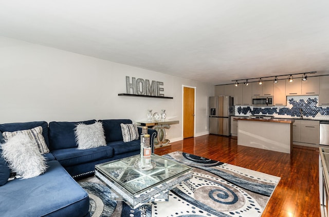 living room featuring dark wood-type flooring and sink