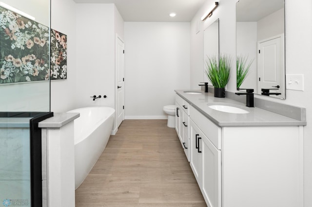bathroom with double vanity, a soaking tub, wood finished floors, and a sink