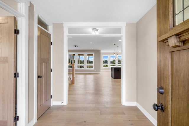 hall featuring light wood-type flooring