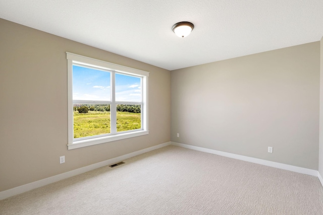 spare room featuring carpet floors