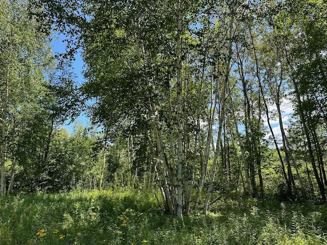 TBD Nokay Hall Rd, Brainerd, MN 56401 - photo 1