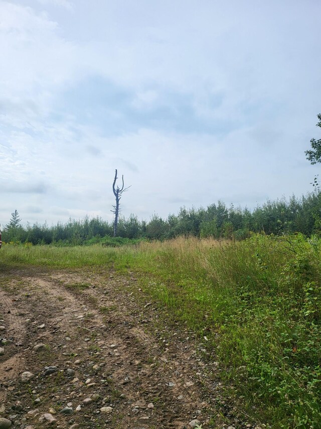 TBD Nokay Hall Rd, Brainerd, MN 56401 - photo 4