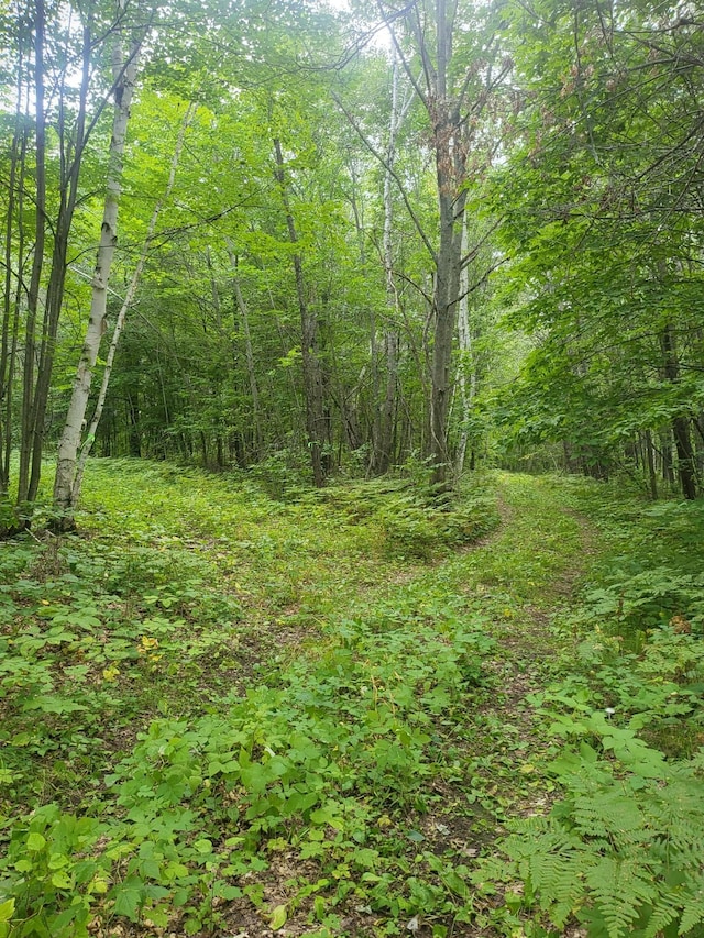 TBD Nokay Hall Rd, Brainerd, MN 56401 - photo 7