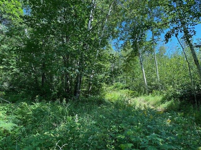 TBD Nokay Hall Rd, Brainerd, MN 56401 - photo 9