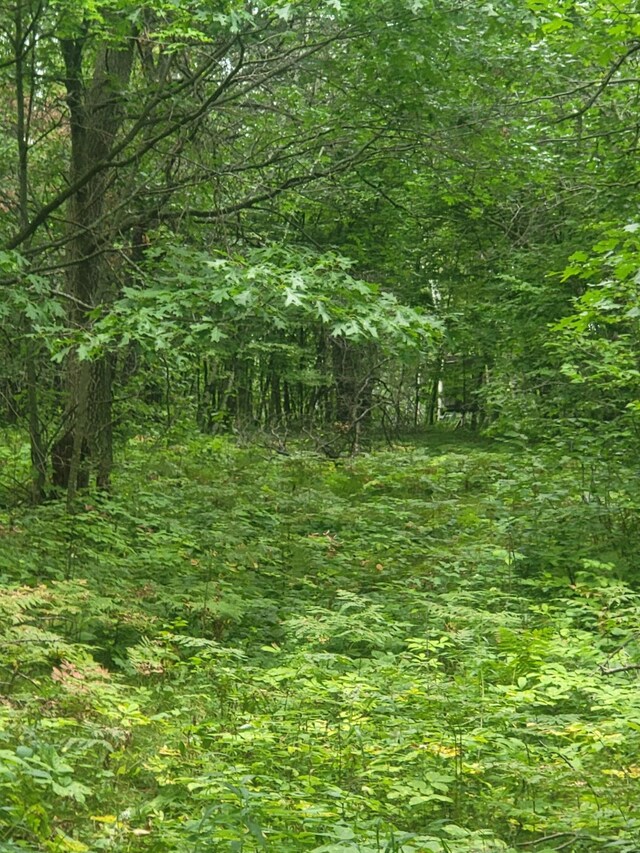 TBD Nokay Hall Rd, Brainerd, MN 56401 - photo 20