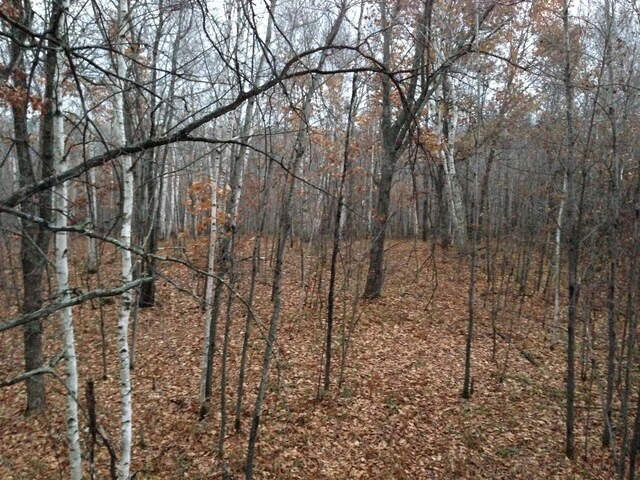 TBD Nokay Hall Rd, Brainerd, MN 56401 - photo 37