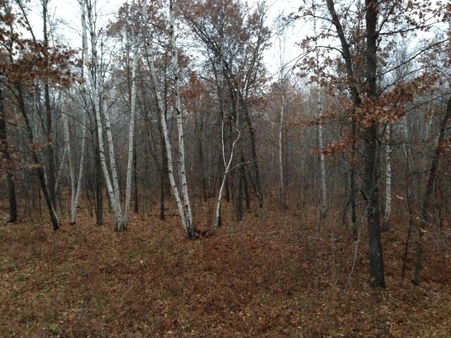 TBD Nokay Hall Rd, Brainerd, MN 56401 - photo 36