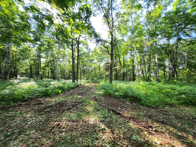 TBD Nokay Hall Rd, Brainerd, MN 56401 - photo 22