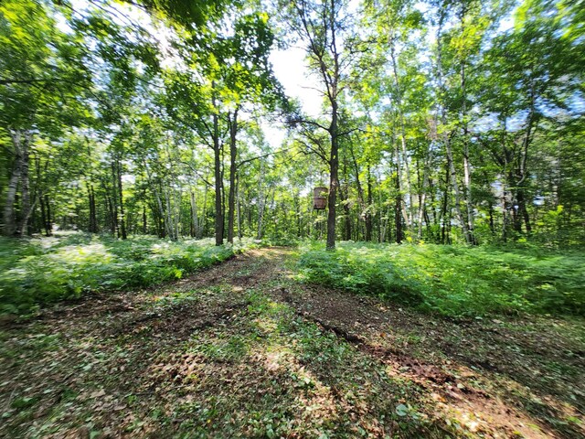 TBD Nokay Hall Rd, Brainerd, MN 56401 - photo 23