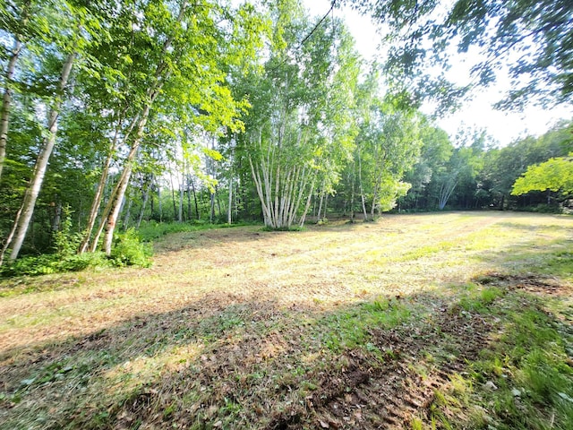 TBD Nokay Hall Rd, Brainerd, MN 56401 - photo 14