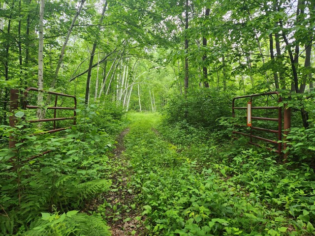 TBD Nokay Hall Rd, Brainerd, MN 56401 - photo 12