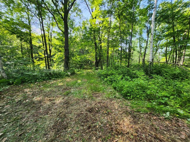TBD Nokay Hall Rd, Brainerd, MN 56401 - photo 24