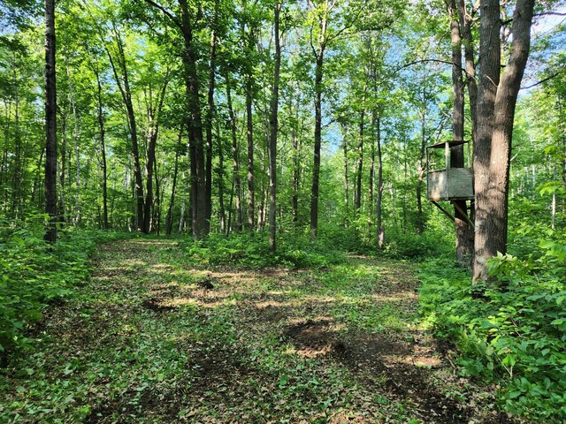 TBD Nokay Hall Rd, Brainerd, MN 56401 - photo 25