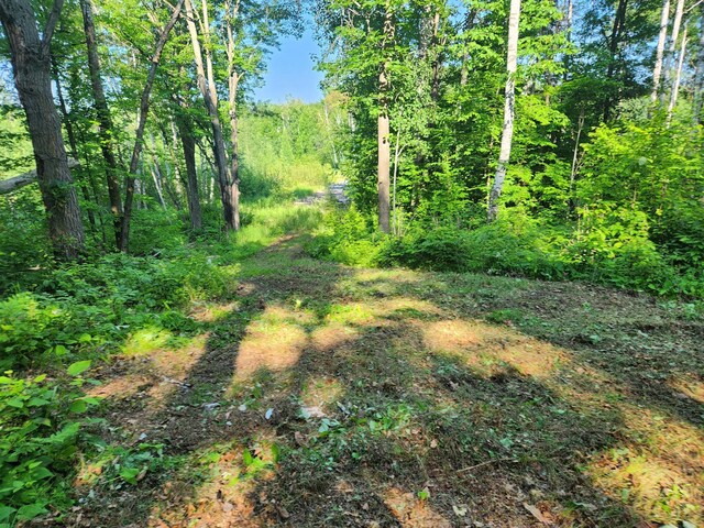 TBD Nokay Hall Rd, Brainerd, MN 56401 - photo 26