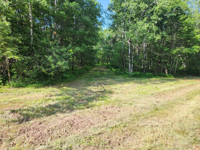 TBD Nokay Hall Rd, Brainerd, MN 56401 - photo 19