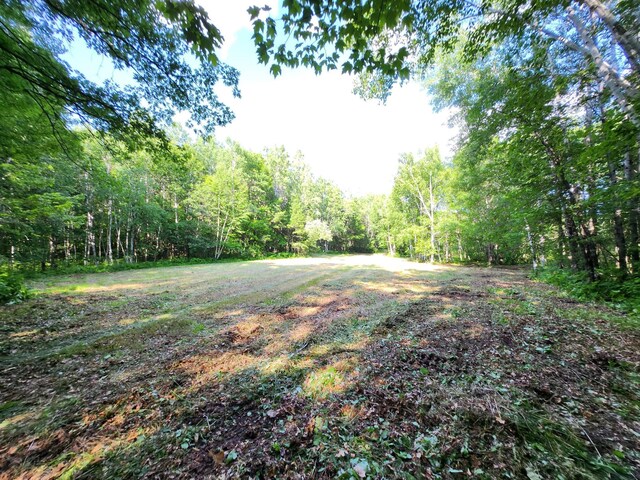 TBD Nokay Hall Rd, Brainerd, MN 56401 - photo 18
