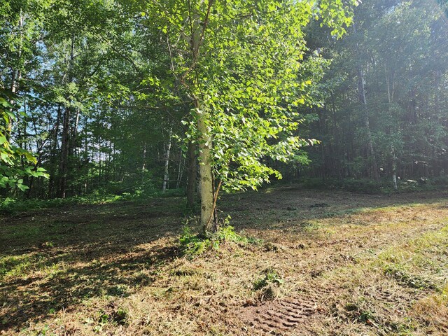 TBD Nokay Hall Rd, Brainerd, MN 56401 - photo 27
