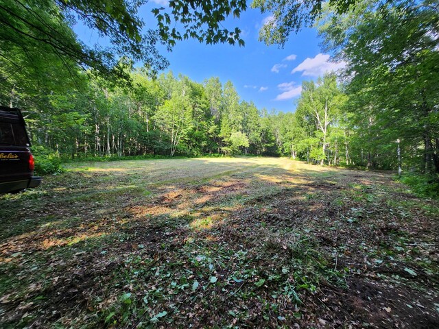 TBD Nokay Hall Rd, Brainerd, MN 56401 - photo 17