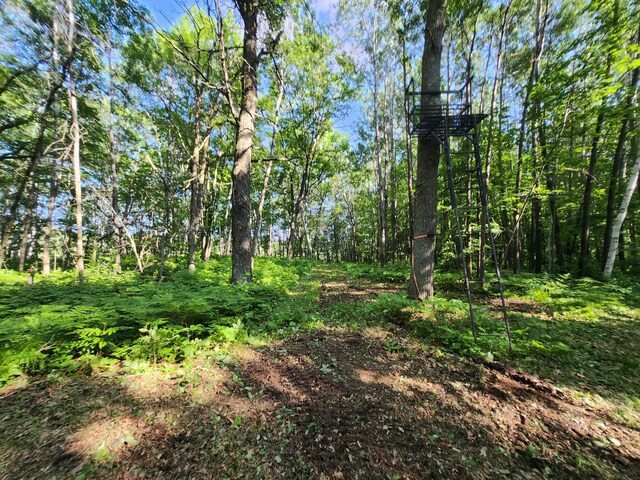 TBD Nokay Hall Rd, Brainerd, MN 56401 - photo 29