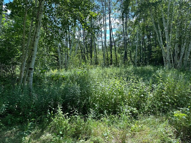 TBD Nokay Hall Rd, Brainerd, MN 56401 - photo 31