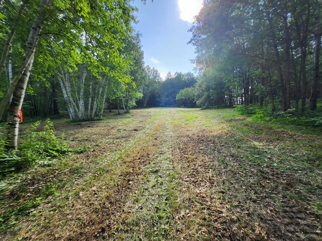 TBD Nokay Hall Rd, Brainerd, MN 56401 - photo 16