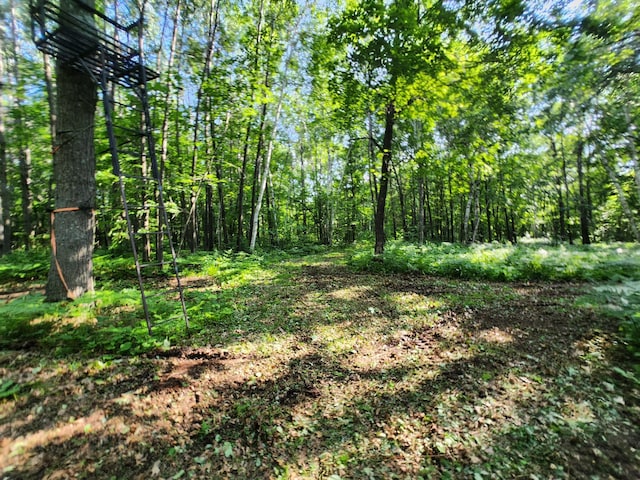 TBD Nokay Hall Rd, Brainerd, MN 56401 - photo 33