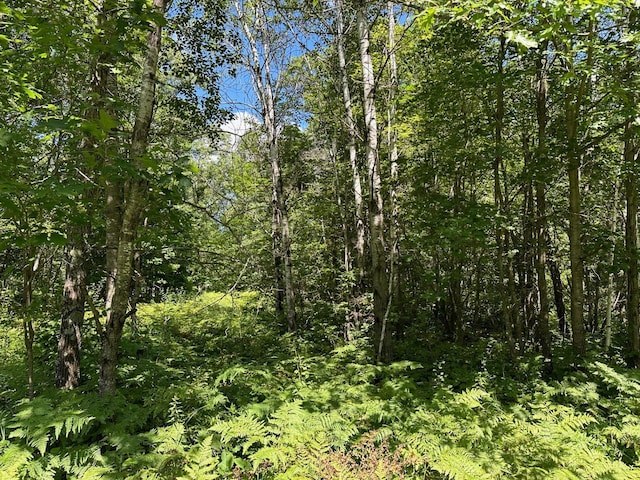 TBD Nokay Hall Rd, Brainerd, MN 56401 - photo 32