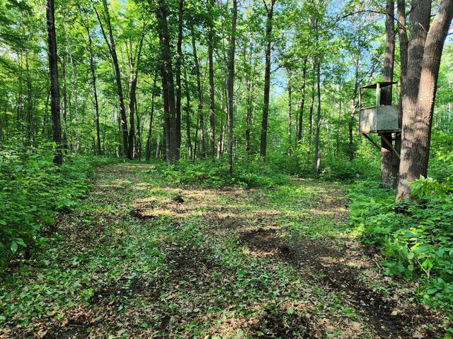 TBD Nokay Hall Rd, Brainerd, MN 56401 - photo 34